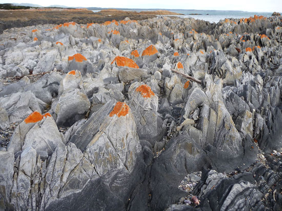 Rocky Cape National Park