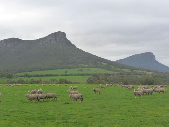 The Grampians