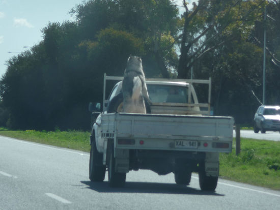 Auf zum Flinders Ranges Nationalpark
