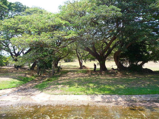 gewisse Personen lernen es nie...