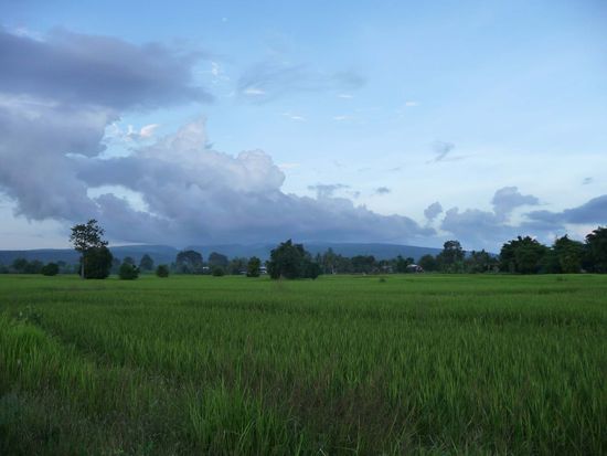 so weit das Auge reicht...