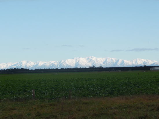 Da wollen wir hin, und da scheint die Sonne