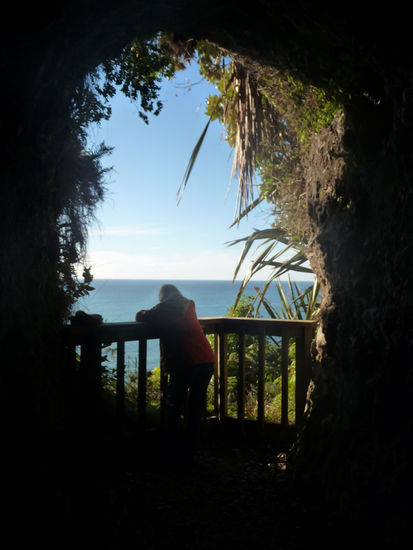 Ausblicke auf das Kommende