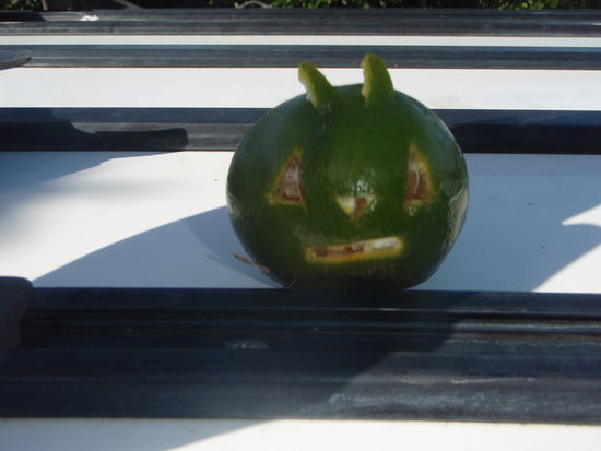 Das Mandarinen Monster ^^