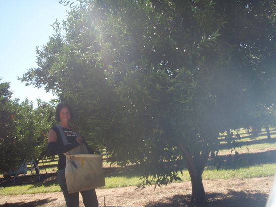 Der Sack wiegt ca 30Kg wenn er voll ist