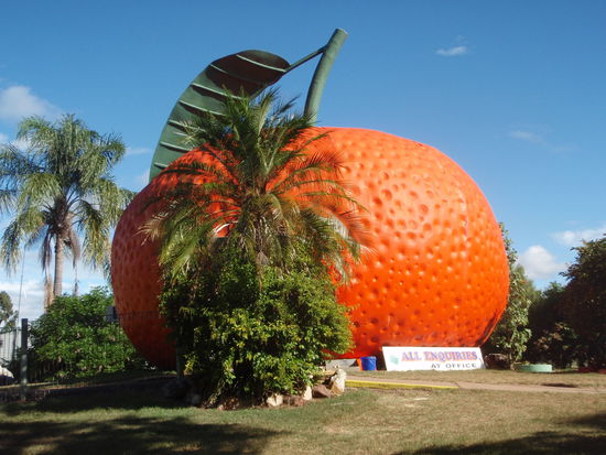 Die Rezeption am Campingplatz ´, eine Riesen Madarine ^^ Passt ganz gut
