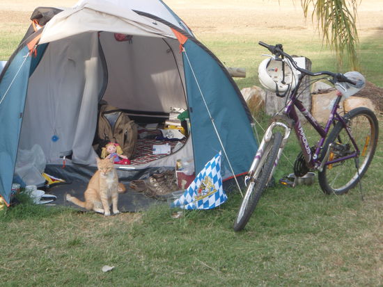 Mein Zelt, meine Katze, mein Fahrrad...