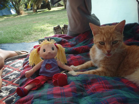 Die minni Lisa und meine Katze Meiky