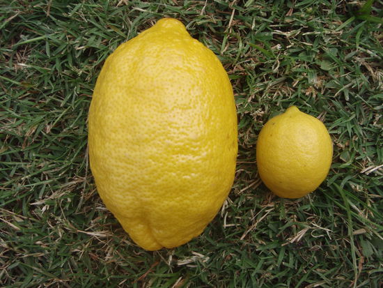 Noch mehr Langeweile...