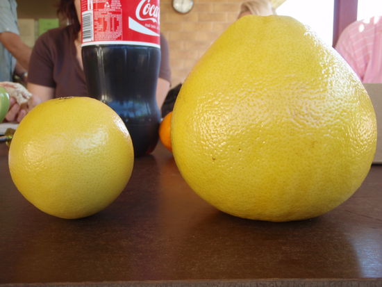 man hat hier echt nix anderes zu tun 