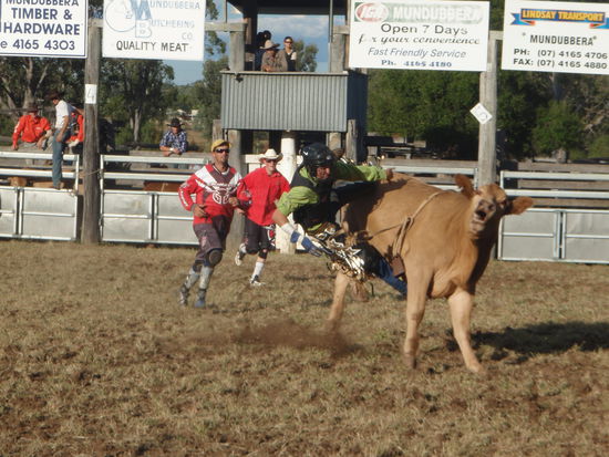 Yeeehaaa... der Bulle hat gewonnen!!