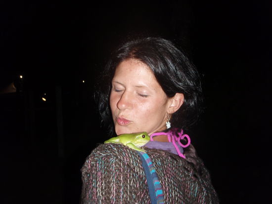 leider ist kein Prinz draus geworden