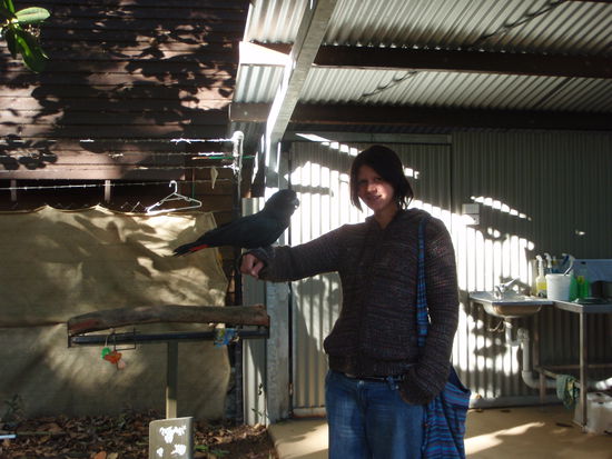 Der Papagei war ganz schoen schwer