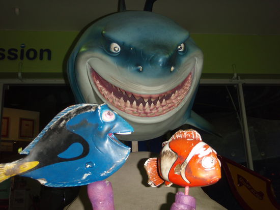 Der Nemo und die Dori