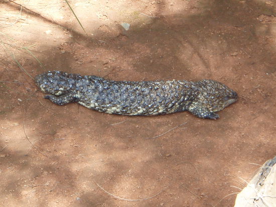 Wo ist jetzt vorne und wo ist hinten??