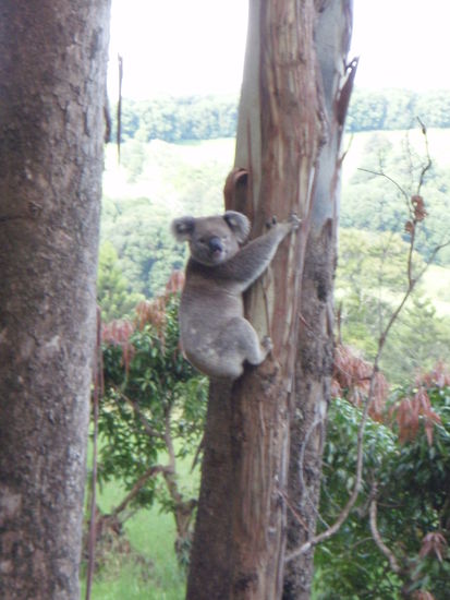 Direkt am Straßenrand, is er nich niedlich??