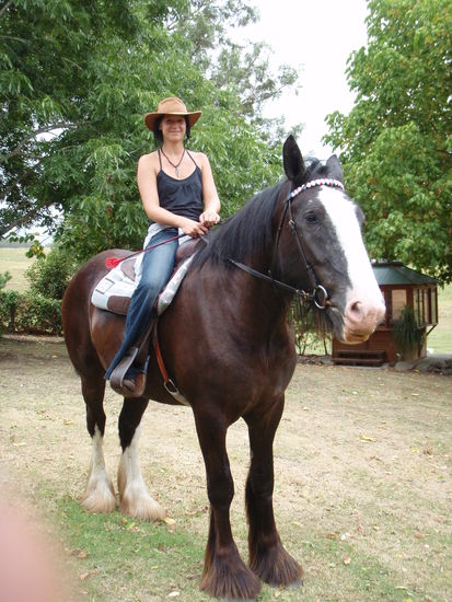 Das ist Bill, mit ihm Reit ich jeden tag aus