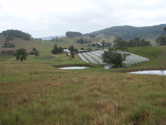 Die Farm auf der ich Arbeite