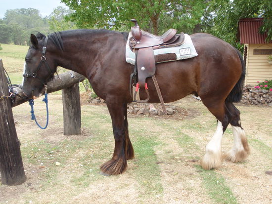 Wow, was für ein Riese