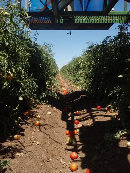 Puhhh... keine ende in sicht!!