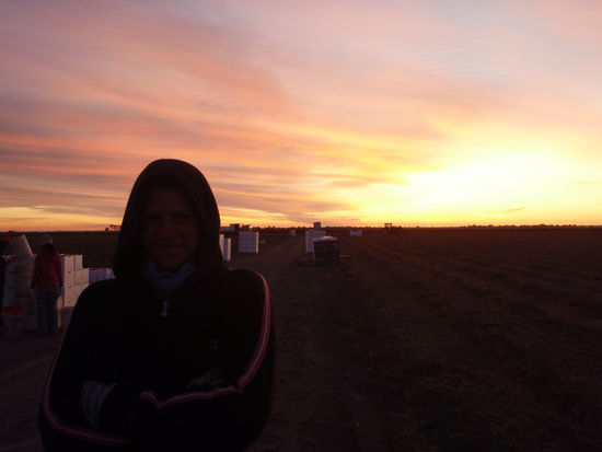 Sonnenaufgang am Tomatenfeld