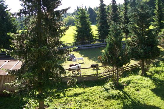 Blick vom Balkon