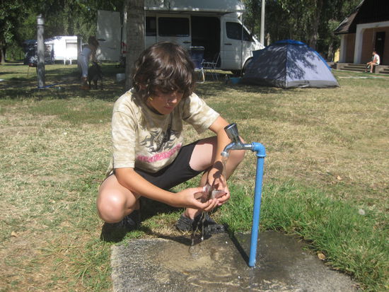 offenbar gibt es hier Fisch