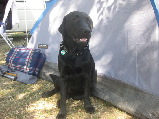 ich hoffe, es fällt auch für mich was ab !