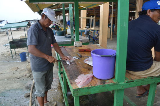 La Pescador Miguel ist Profi, er zeigt mir die Schnitte
