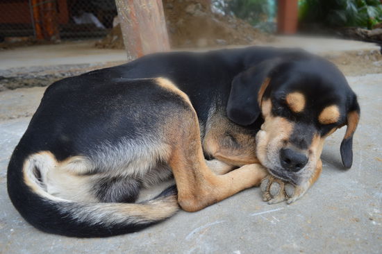 Ich habe ihn oben weich gezeichnet, weil er so lieb geschlafen hat