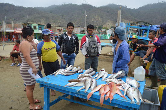 die Frau feilscht mit den pescadores um den Preis
