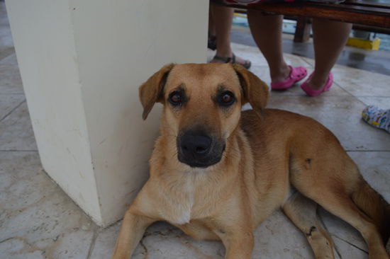 Auch ER, ist nicht gesund