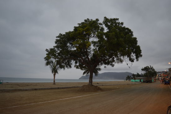 Und ,  wenn , der Aaaaaaabend kommt, und wenn es dunkel wird, dann....., (Peter Alexander fällt mir ein), Hans weiß Bescheid!
