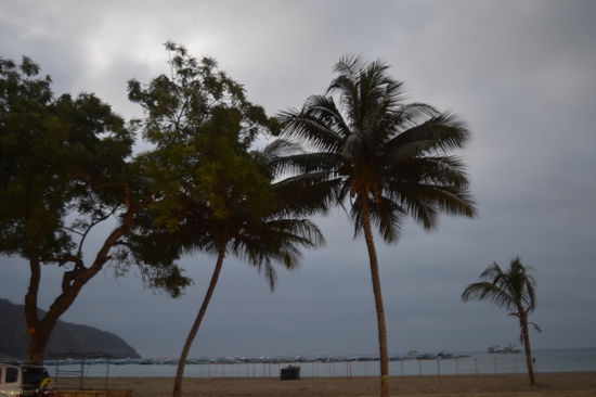 Die Aufnahmen mache ich vom Fischrestaurant aus. Die neue Nikon ist Top, tolles Gerät. Heute esse ich zum 1. mal wieder richtig, Camarones mit Reis und Kartoffel, schmeckt mir sehr, dazu ein Pilsener eiskalt serviert. Das habe ich mir verdient