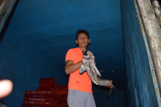 Luiz belädt seinen LKW mit Fisch. Er fährt damit nach Guayquil, ca 5 Stunden. Die Ladefläche ist voll mit Hunderten Kilos crashice, es dampft heraus. Viele sehen zu, geschäftiges Treiben am Abend