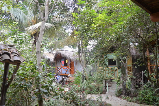 Perfekte Dschungelunterkunft mit Haushund, Hauskatzen und anderen Gästen aus der Tierfabrik