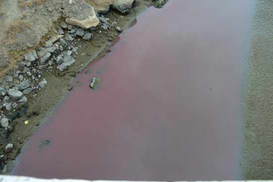 es schaut herrlich bordeauxrot aus