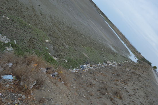 ein paar hundert Meter weiter, eine Lagune, Vögel, Hunde , Katzen, alles sucht nach Nahrung, wennst hinunter gehst und mit dem Finger kostest, bist sicher hin