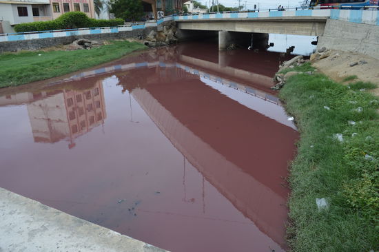 Der rote Fluss, etwas weiter drinnen in der Stadt, riecht noch stärker da und ist dunkelrot wie schwerer Wein aus Südfrankreich