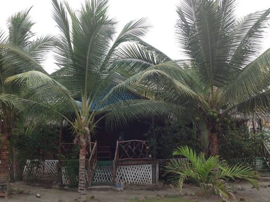 das ist meine Terrasse, teile sie mit einem Engländer aus London. Ist ausgestiegen, erzählt er mir, ca 45 Jahre alt, war als nurse in London beschäftigt. Weiß nicht, wie es 2016 weiter geht. Solche Leute treffe ich viele, die nicht mehr können oder wollen. Was soll ich dazu sagen, ich habe 38 Jahre gearbeitet und ein schlechtes Gewissen, weil ich mir die Zeit jetzt genommen habe. Da rennt irgendwas verkehrt denk ich