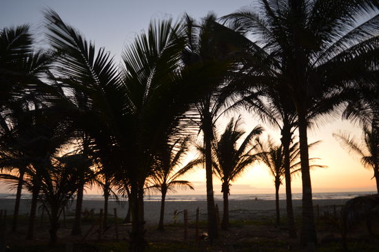 Abend am Südpacific
