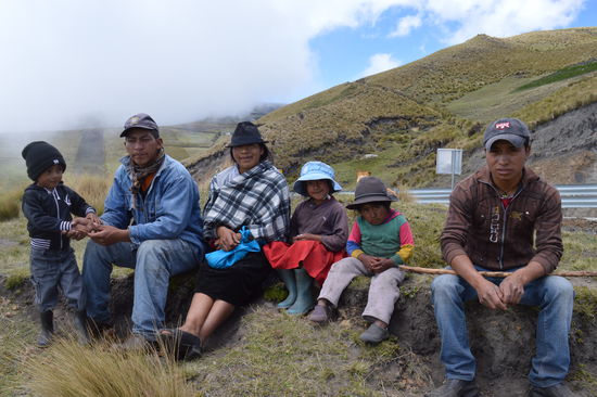 es werden immer mehr