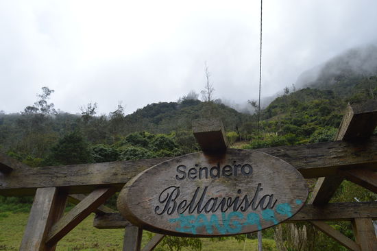 Holaps, da geht es steil hinauf, dank GPS Garmin, den versteckt liegenden Einstieg, sofort geortet