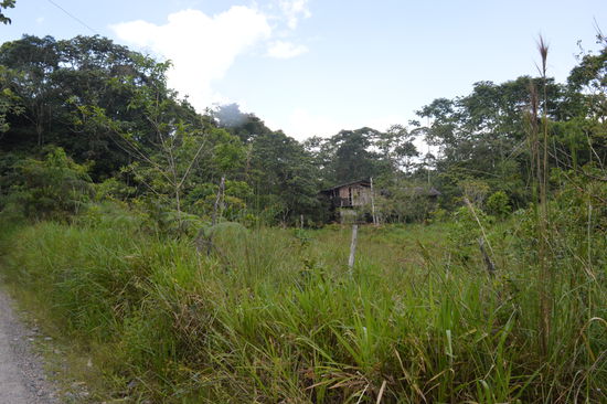 Da kam der Hund heraus und der zweite auch, huhhh.