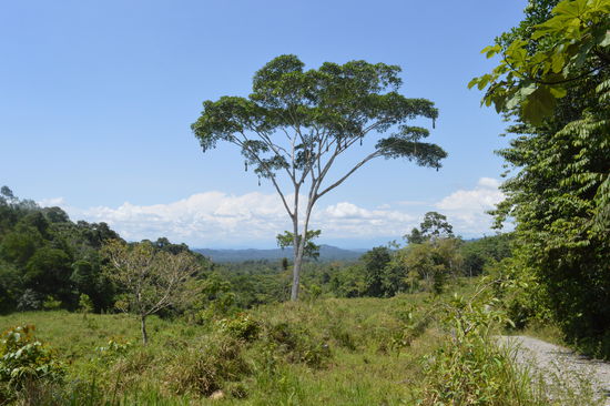 so weit das Auge reicht