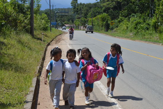differente Uniformen, differente Klassen. Sie gehen da ganz alleine, die Autos brausen mit über 120 km/h vorbei. Wie schon gesagt, jeder muss auf sich selber schauen. Es gibt da keinen Schutz, die "Ecuadorianis" selber nehmen auf keinen Fall Rücksicht. Bremsen!! , tut eigentlich nur der Ausländer und da gibt es nicht viele. Ich habe auf jeden Fall noch keinen getroffen auf meiner Reise, keinen einzigen