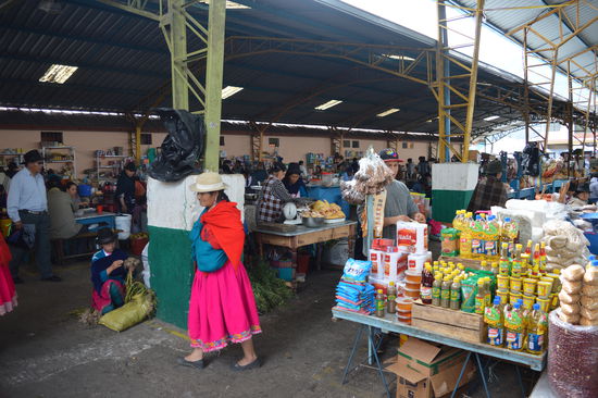 kräftige Farben sind Trumpf