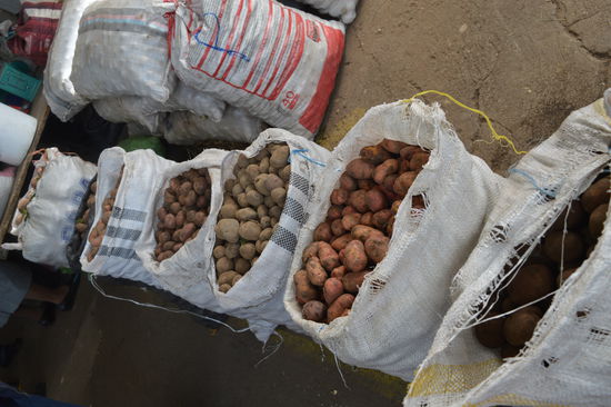 Mehr als 100 Sorten pappas gibt es, sagt die Marktfrau, ca 10 hat sie mit aus den Bergen