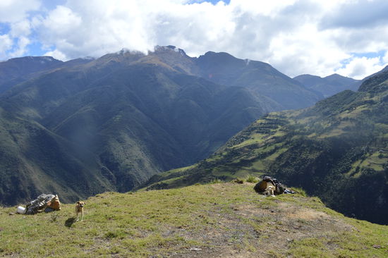 der linke bekommt die Bananenschale, der rechte ein letztes Stück Banane, die ich gerade verspeise. Hinter den Unterständen gehts straight down!!!