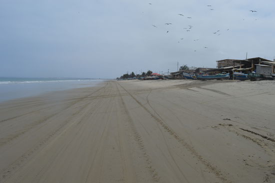 Die Strafe folgt auf dem Fuss, ich komm fast nimmer heraus, Karl schau wie tief der Sand geht, // trotz Certificate aus Albanien, experienced off road rider. Danke an Günter und Ewald, 
ohne die zwei hätt ich das niemals geschafft. Da hams gschaut, die zahlreichen Fischer. Alles hat glacht und gewartet, dass es mich auf die Pappn haut.
Sofort zu den Senores gesetzt, keiner tut etwas, nur ab und zu fischen, scheisse, kann und will nichts essen, zum Speibn.
Eine Fischvergiftung, das hat mir noch gefehlt, ÖAMTC, mehr fallt mir dazu  nicht ein.
Ich erkundige mich, habitaciones ? Me gusto lugar seguro ? Si, si sagen die Pescador, en ruta uno la ferretria , izquierda, ich kenn mich aus.
